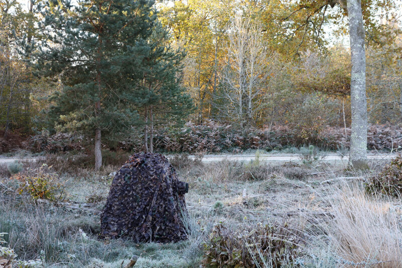 pixelpenguin- Een man gekleed in een camouflagenet staat in een bosrijke omgeving.