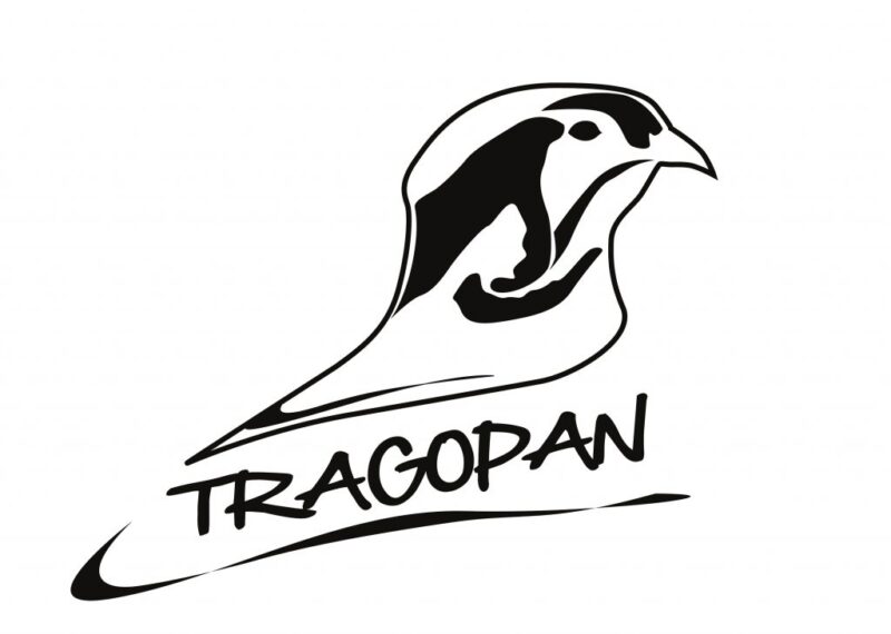 pixelpenguin- Een zwart-wit logo met het woord tracopan weergegeven op de startpagina.