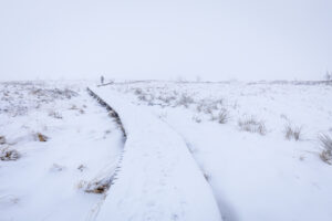 pixelpenguin- Een pad dat door een met sneeuw bedekt veld leidt, bezaaid met sculpturen van Pixelpinguïns.
